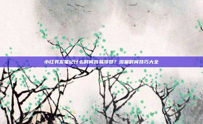 小红书发笔记什么时间容易涨赞?流量时间技巧大全