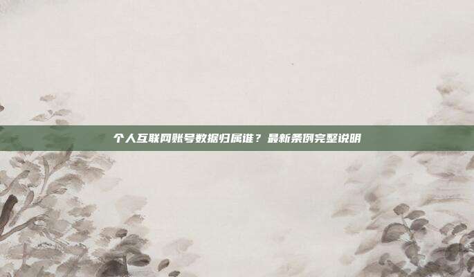 个人互联网账号数据归属谁？最新条例完整说明
