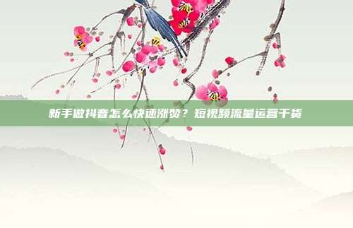 新手做抖音怎么快速涨赞?短视频流量运营干货