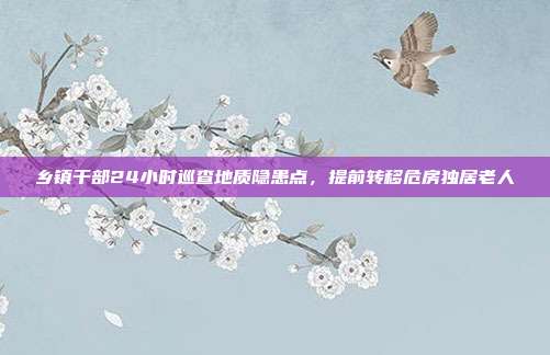 乡镇干部24小时巡查地质隐患点，提前转移危房独居老人