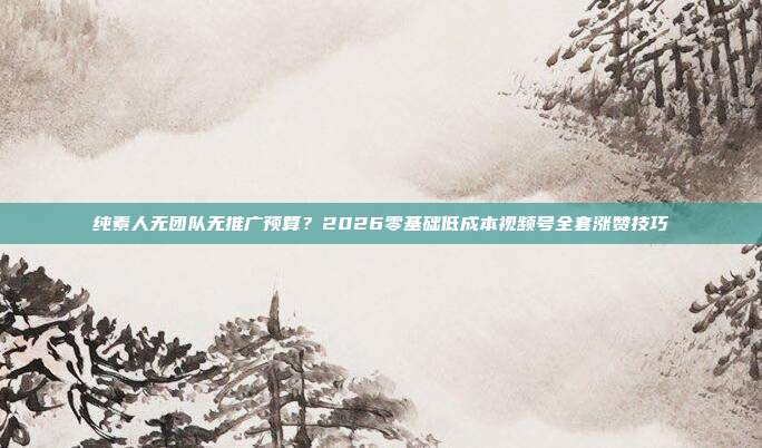 纯素人无团队无推广预算？2026零基础低成本视频号全套涨赞技巧