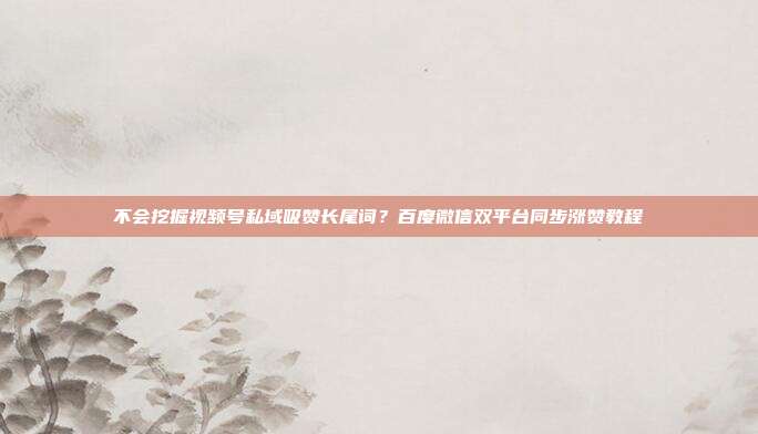 不会挖掘视频号私域吸赞长尾词？百度微信双平台同步涨赞教程