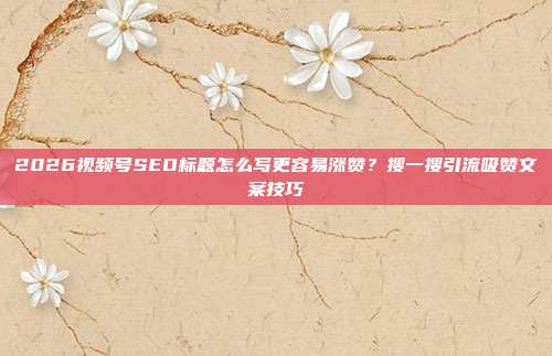 2026视频号SEO标题怎么写更容易涨赞？搜一搜引流吸赞文案技巧