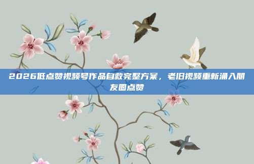 2026低点赞视频号作品自救完整方案，老旧视频重新涌入朋友圈点赞
