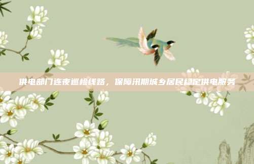 供电部门连夜巡检线路，保障汛期城乡居民稳定供电服务