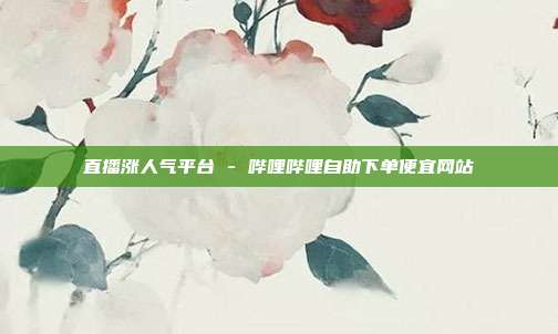 直播涨人气平台 - 哔哩哔哩自助下单便宜网站