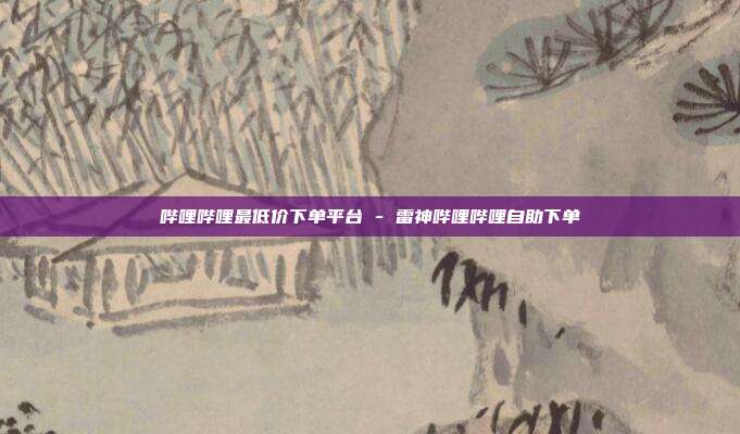 哔哩哔哩最低价下单平台 - 雷神哔哩哔哩自助下单