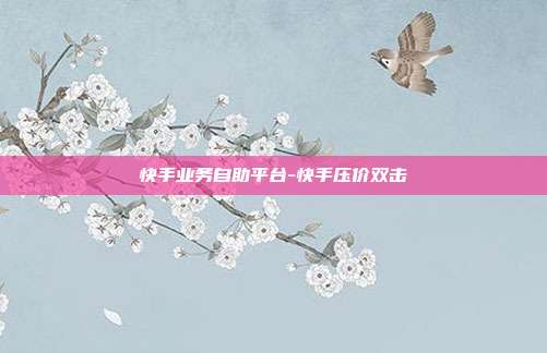 快手业务自助平台-快手压价双击