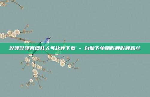 哔哩哔哩直播挂人气软件下载 - 自助下单刷哔哩哔哩粉丝