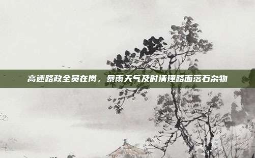 高速路政全员在岗，暴雨天气及时清理路面落石杂物