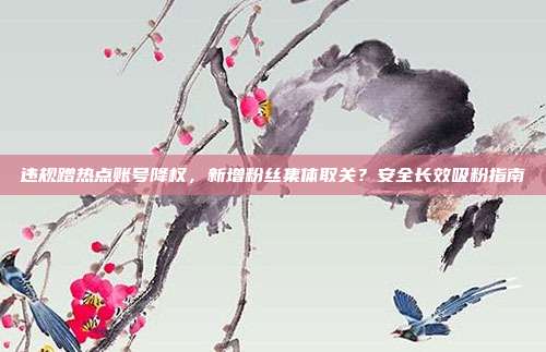 违规蹭热点账号降权，新增粉丝集体取关？安全长效吸粉指南