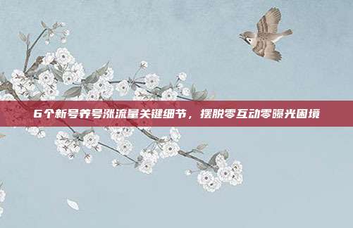 6个新号养号涨流量关键细节,摆脱零互动零曝光困境