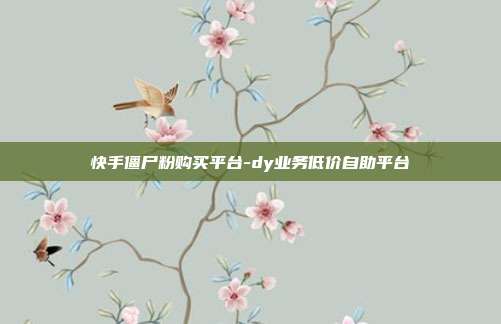 快手僵尸粉购买平台-dy业务低价自助平台