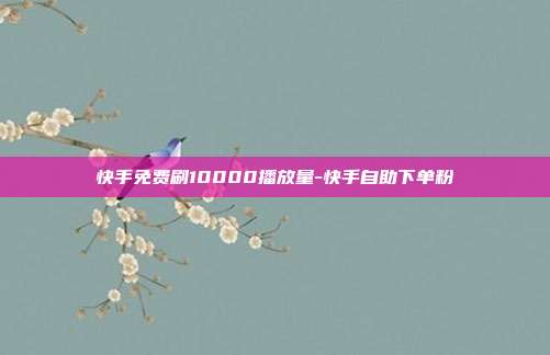 快手免费刷10000播放量-快手自助下单粉