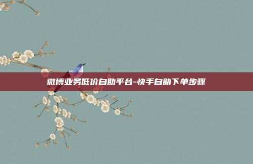 微博业务低价自助平台-快手自助下单步骤