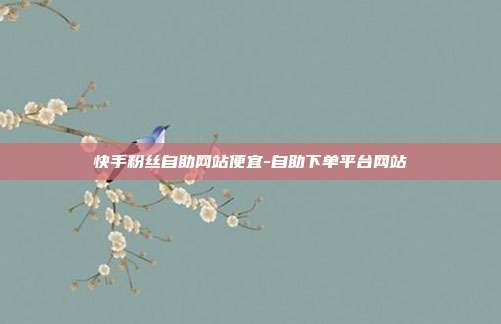 快手粉丝自助网站便宜-自助下单平台网站