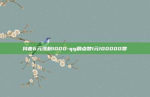 抖音6元涨粉1000-qq刷点赞1元100000赞