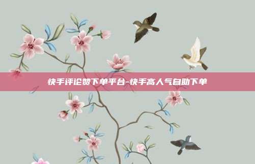快手评论赞下单平台-快手高人气自助下单