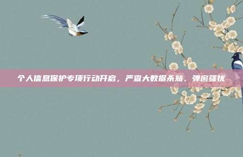 个人信息保护专项行动开启，严查大数据杀熟、弹窗骚扰