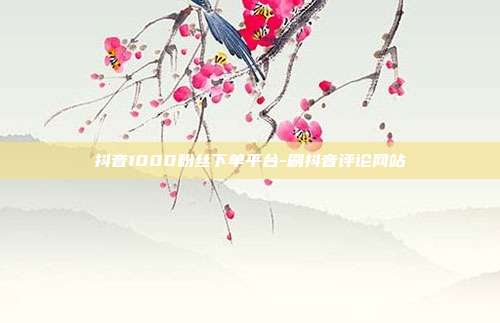 抖音1000粉丝下单平台-刷抖音评论网站