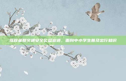 驾校暑期交通安全公益宣讲,面向中小学生普及出行知识