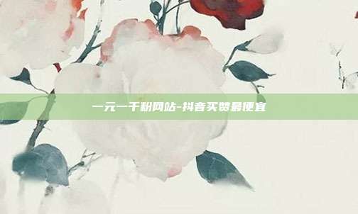 一元一千粉网站-抖音买赞最便宜