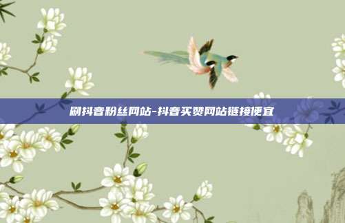 刷抖音粉丝网站-抖音买赞网站链接便宜