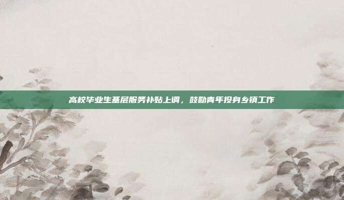 高校毕业生基层服务补贴上调，鼓励青年投身乡镇工作