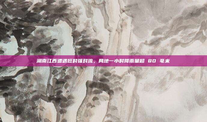 湖南江西遭遇短时强对流,局地一小时降雨量超 80 毫米