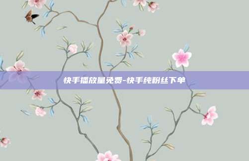 快手播放量免费-快手纯粉丝下单