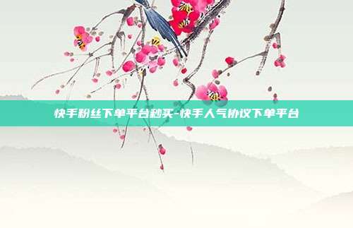 快手粉丝下单平台秒买-快手人气协议下单平台