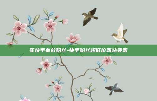 买快手有效粉丝-快手粉丝超低价网站免费