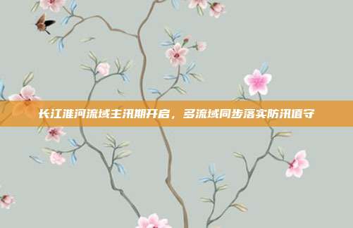 长江淮河流域主汛期开启,多流域同步落实防汛值守