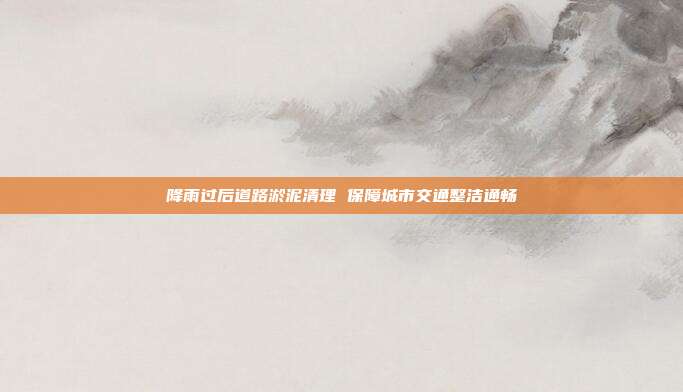 降雨过后道路淤泥清理 保障城市交通整洁通畅