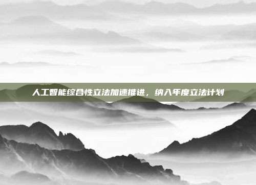人工智能综合性立法加速推进,纳入年度立法计划