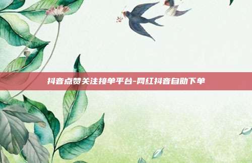 抖音点赞关注接单平台-网红抖音自助下单