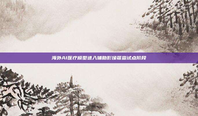 海外AI医疗模型进入辅助影像筛查试点阶段