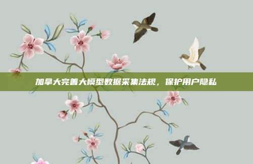 加拿大完善大模型数据采集法规,保护用户隐私
