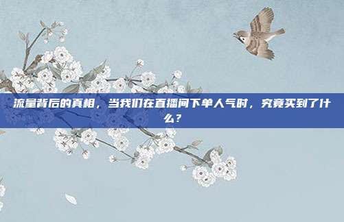 流量背后的真相，当我们在直播间下单人气时，究竟买到了什么？