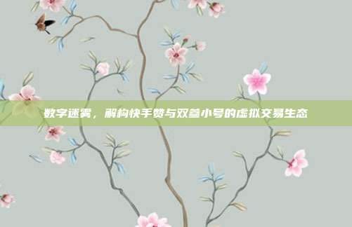 数字迷雾，解构快手赞与双参小号的虚拟交易生态