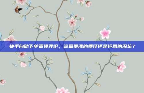 快手自助下单置顶评论，流量暴涨的捷径还是运营的深坑？