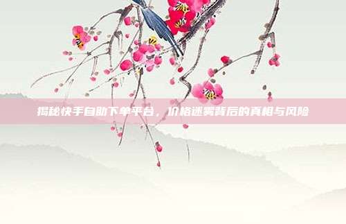 揭秘快手自助下单平台，价格迷雾背后的真相与风险