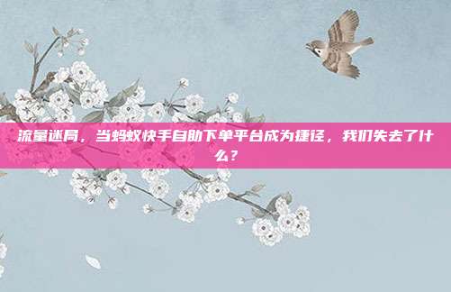 流量迷局,当蚂蚁快手自助下单平台成为捷径,我们失去了什么?