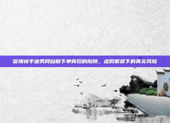 警惕快手业务网自助下单背后的陷阱,虚假繁荣下的真实风险