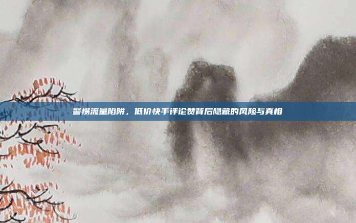 警惕流量陷阱,低价快手评论赞背后隐藏的风险与真相