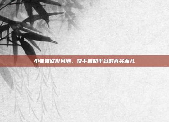 小老弟砍价风潮，快手自助平台的真实面孔