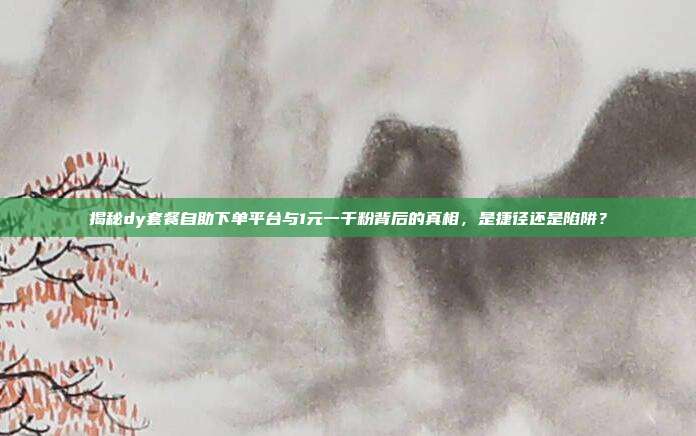 揭秘dy套餐自助下单平台与1元一千粉背后的真相，是捷径还是陷阱？