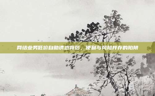 网络业务低价自助诱惑背后，便利与风险并存的陷阱