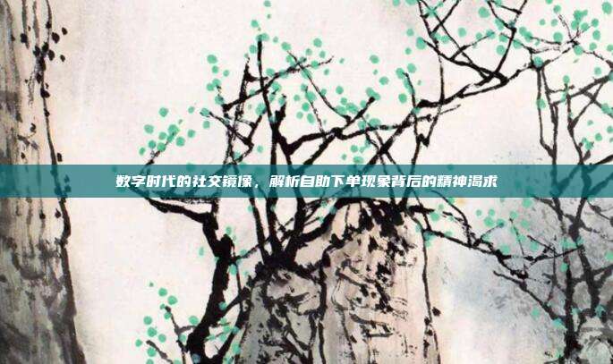 数字时代的社交镜像，解析自助下单现象背后的精神渴求