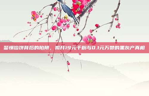 警惕馅饼背后的陷阱，揭开19元千粉与0.1元万赞的黑灰产真相